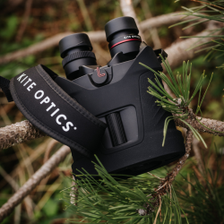 image stabilized.webp